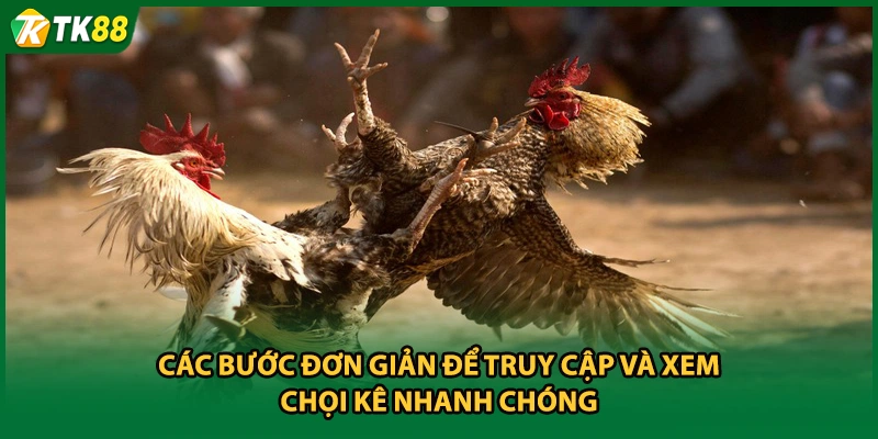 Các bước đơn giản để truy cập và xem chọi kê nhanh chóng