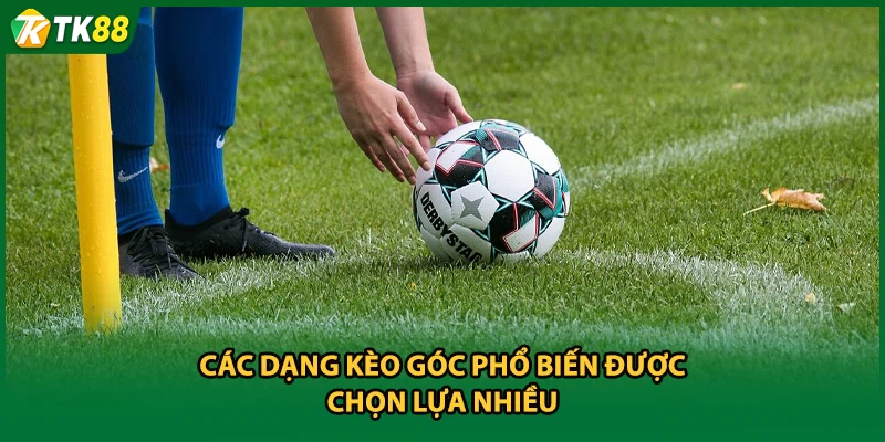 Các dạng kèo góc phổ biến được chọn lựa nhiều