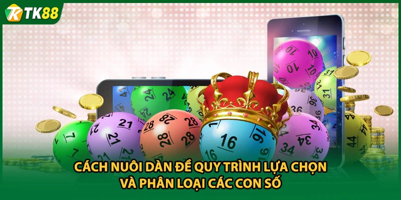Cách nuôi dàn đề quy trình lựa chọn và phân loại các con số