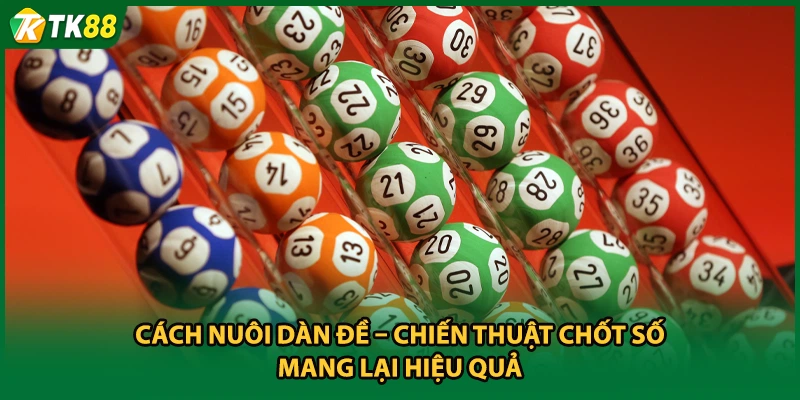 Cách Nuôi Dàn Đề – Chiến Thuật Chốt Số Mang Lại Hiệu Quả