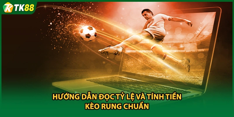 Hướng dẫn đọc tỷ lệ và tính tiền kèo rung chuẩn