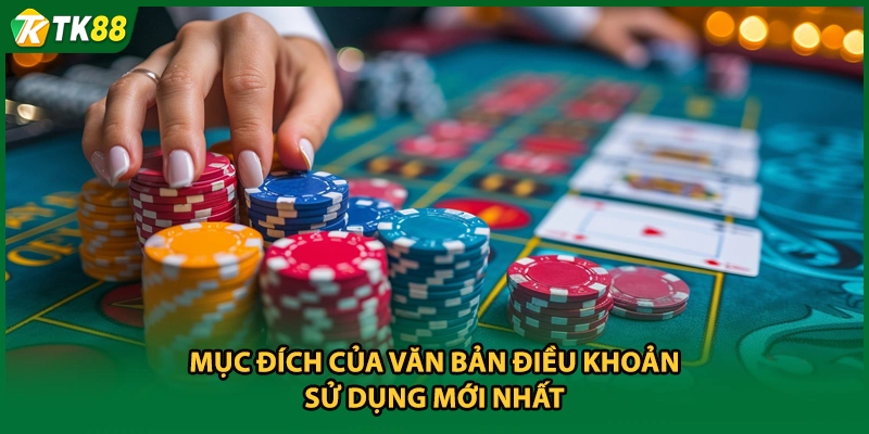 Mục đích của văn bản điều khoản sử dụng mới nhất