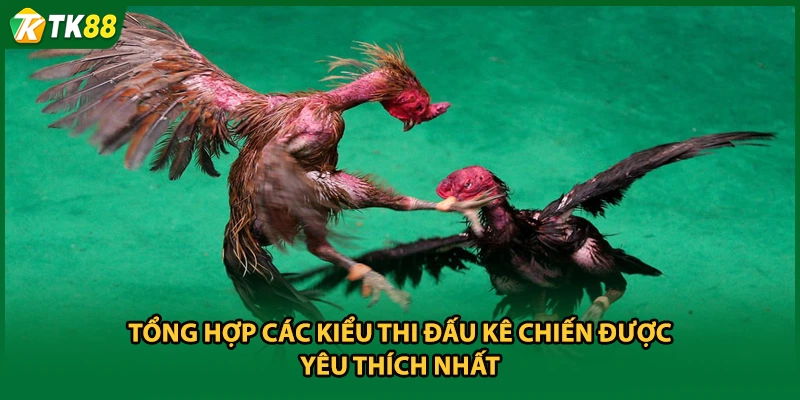 Tổng hợp các kiểu thi đấu kê chiến được yêu thích nhất